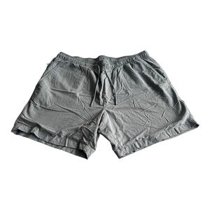 American Eagle Men’s Grey Shorts Size L Used.